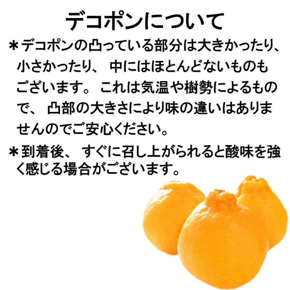 先行予約［秀品］和歌山有田のデコポン！約2.5kg［2027年1月下旬以降順次発送］［NGT15］