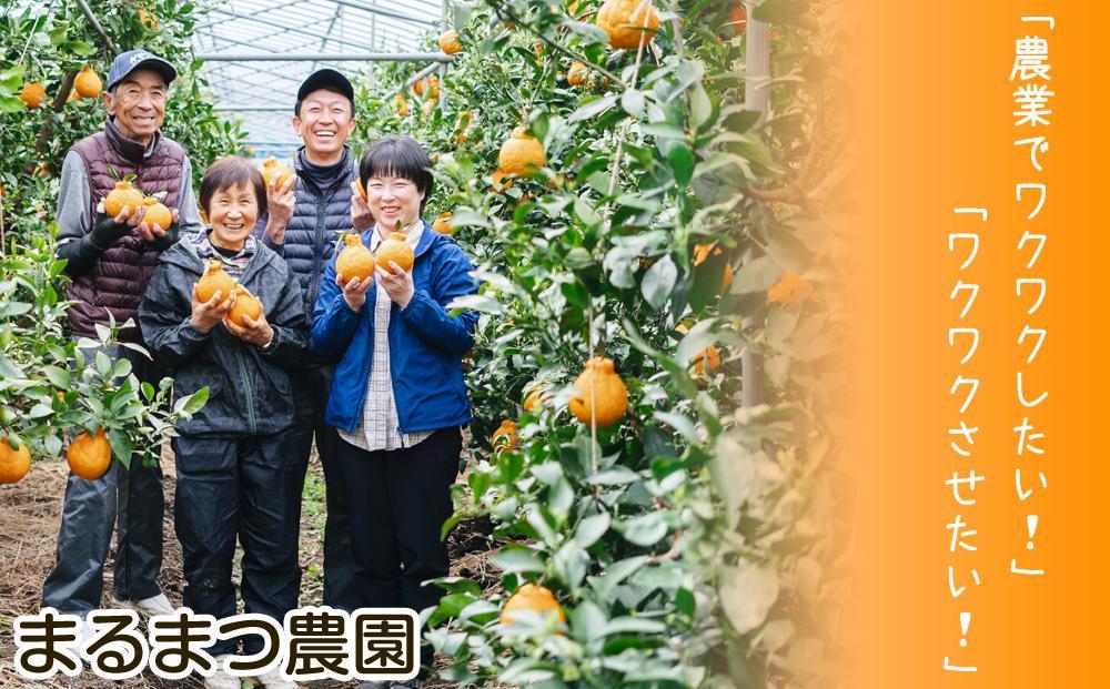 【2026年12月～2027年1月発送】濃厚完熟 木成り温州みかん 5kg ミックスサイズ 和歌山県産