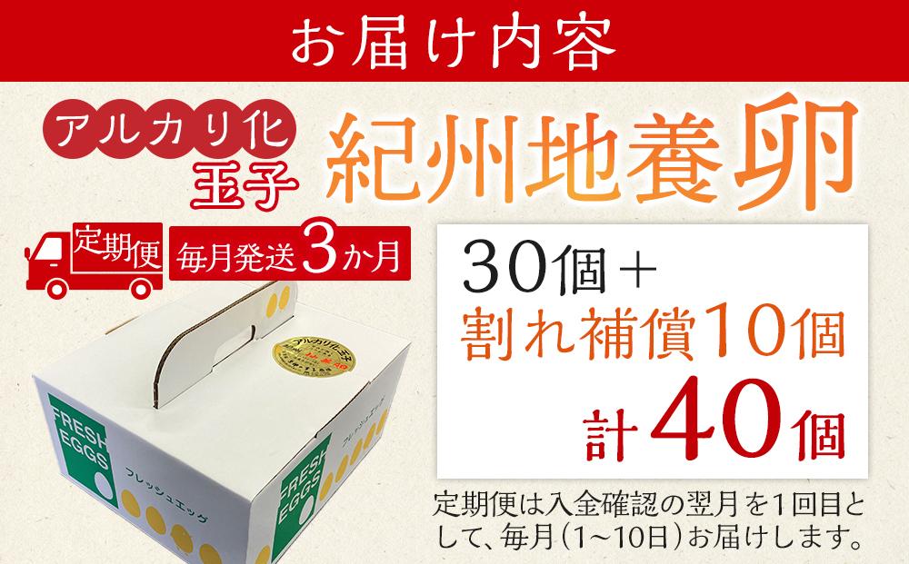 【定期便 毎月発送 全3回 】アルカリ化 玉子 紀州地養卵 合計 40個入 (30個＋割れ補償分10個）× 3回　卵 たまご 玉子 タマゴ 鶏卵 まとめ買い オムレツ 卵かけご飯 朝食 業務用