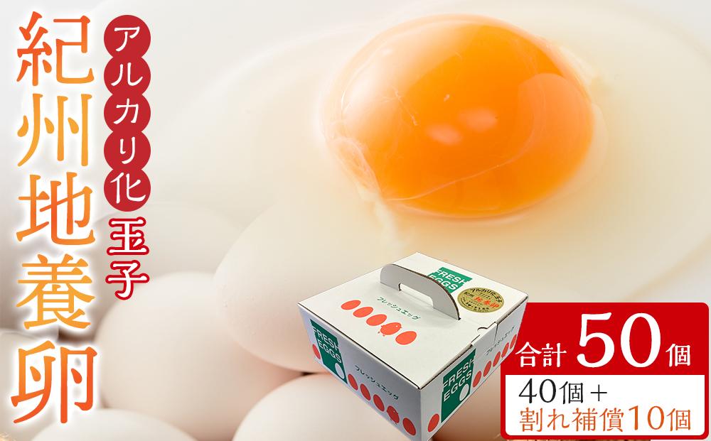 アルカリ化 玉子 紀州地養卵 合計 50個入 (40個＋割れ補償分10個）卵 たまご 玉子 タマゴ 鶏卵 まとめ買い オムレツ 卵かけご飯 朝食 業務用