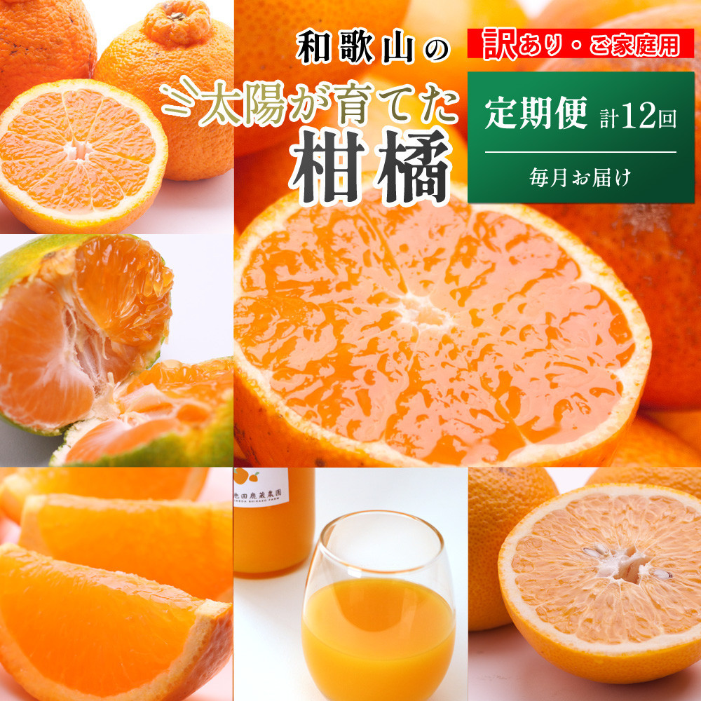 家庭用 柑橘定期便S（毎月）全12回 ［IKE300］