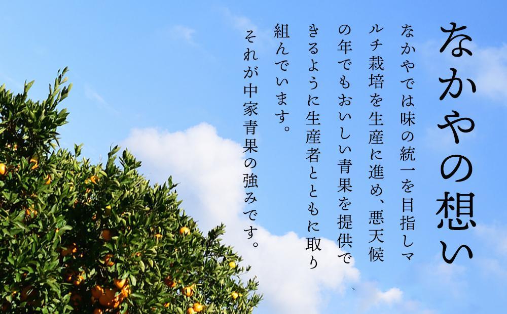 和歌山県産 糖度 12.5度以上 秀品 贈答用 みかん 3kg 3S ～ Lサイズ混合［MG54］