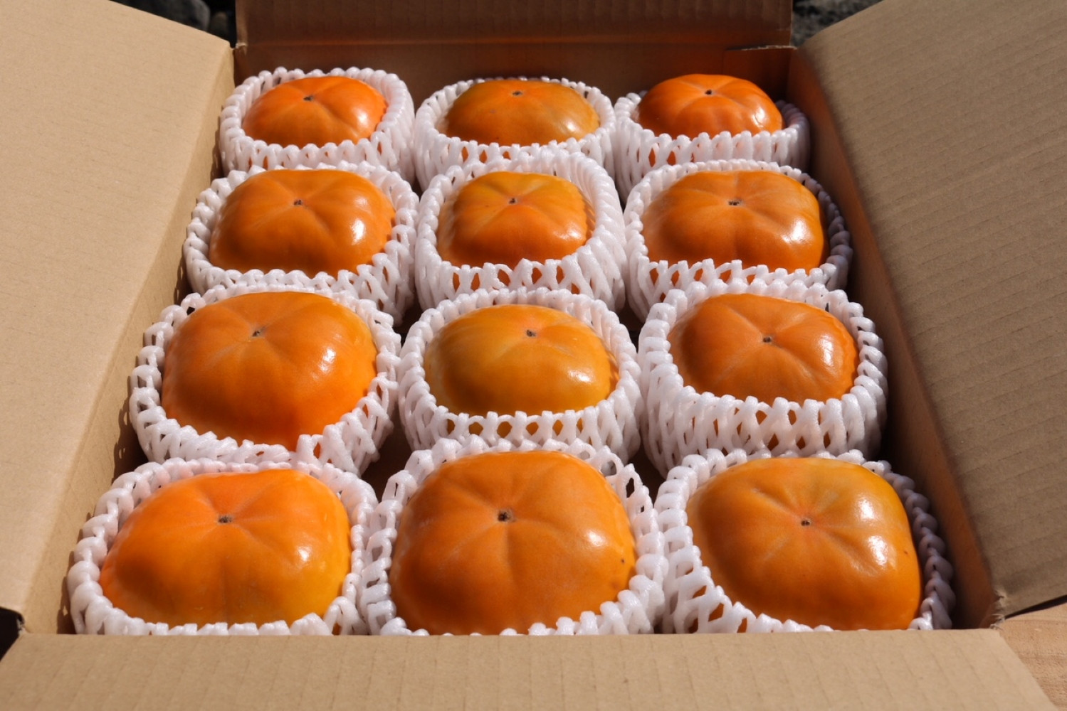シサ逕」蝨ー逶エ騾シス蜥梧ュ悟アア逵檎肇 譟ソ 邏2.5kg 11邇会ス12邇 遘蜩シサUS67シス
