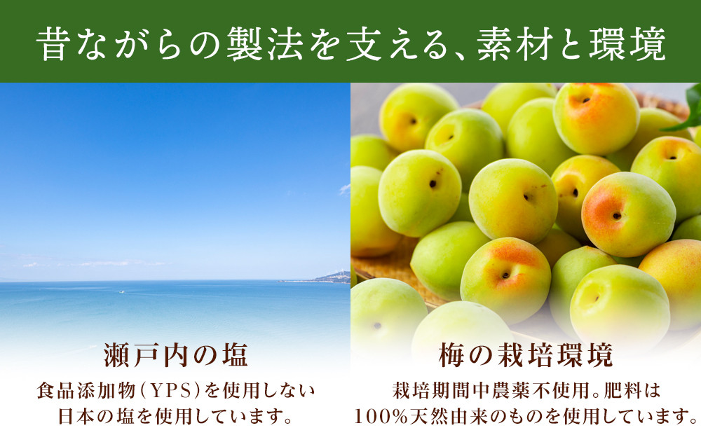 規格外品 無添加 栽培期間中農薬不使用 昔ながらの梅干し 紀州南高梅 塩のみで漬けたすっぱい梅干し 800g（400gパックx2個）塩分約23% 3年熟成品 N20-K ［KU8］