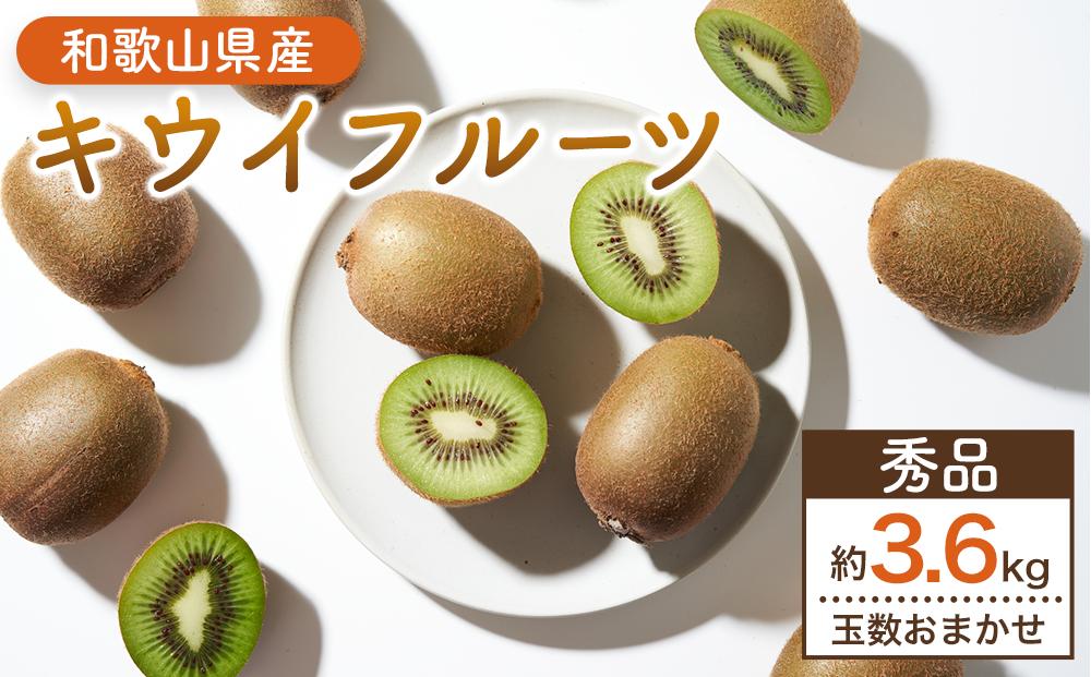 和歌山九度山町産 キウイフルーツ 約3.6kg (玉数おまかせ 24玉～36玉のいずれか 秀品)★ 2027年1月中旬頃より順次発送