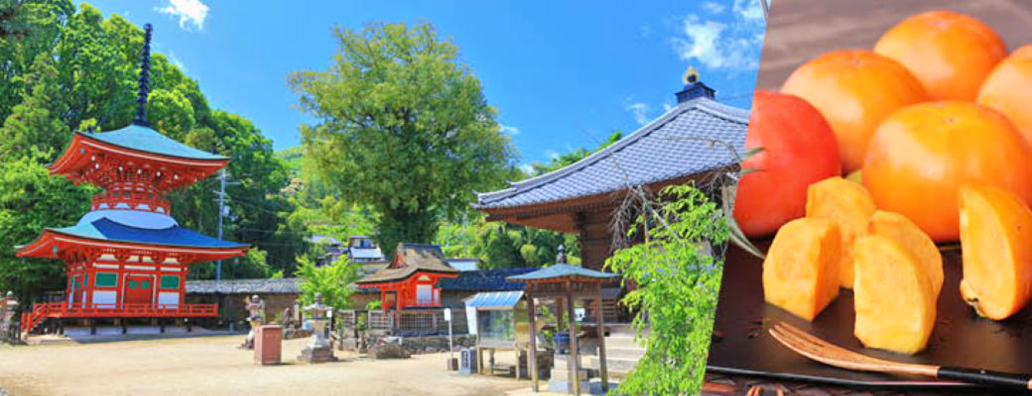 和歌山県九度山町