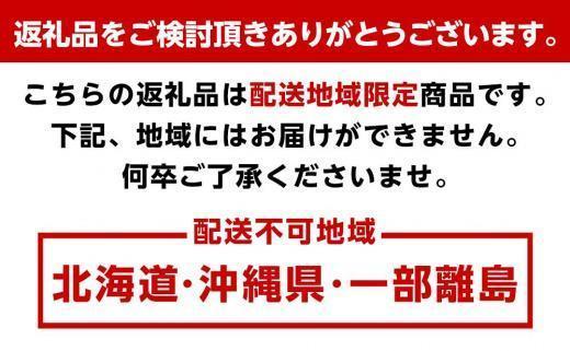 ［先行予約］家庭用 大きな有田みかん2.5kg+250g（傷み補償分）［2026年11月中旬から2027年1月末日頃、順次発送予定］［IKE222］