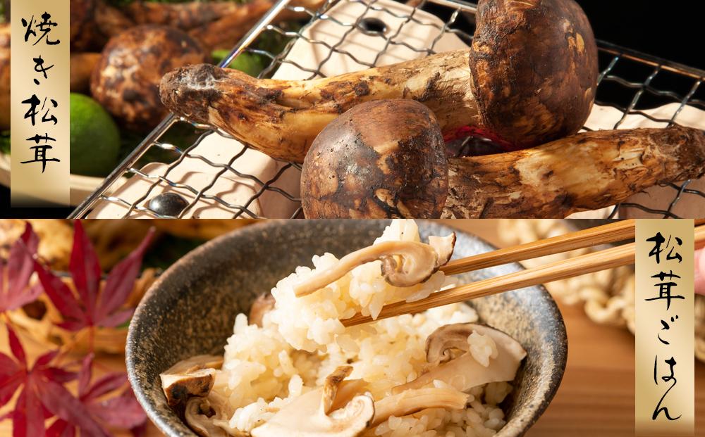 ［2026年発送分］希少な国産松茸「高野松茸」200g　香り・歯応え・味ともに最高級！［化粧箱入］［MG92］