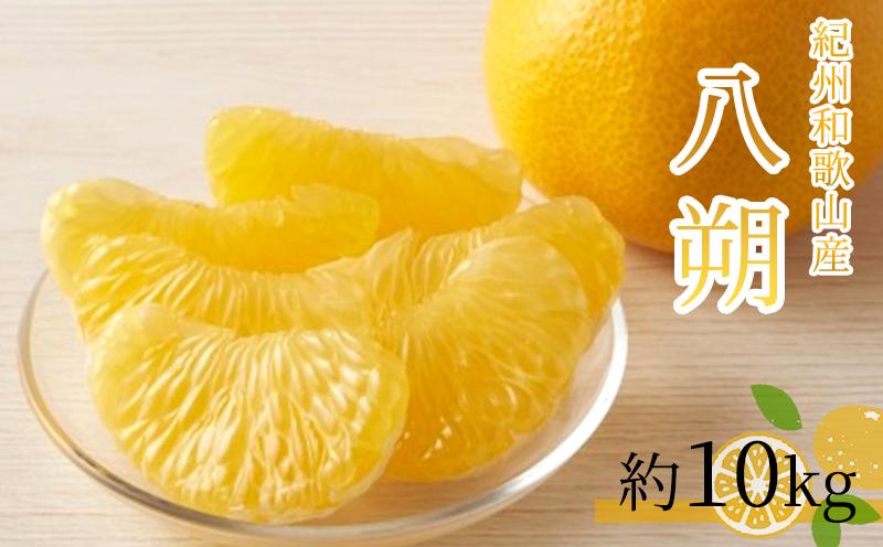 八朔（はっさく）約10kg　紀州和歌山 かつらぎ産［2027年2月上旬頃から2027年2月下旬頃に順次発送］［UT19］