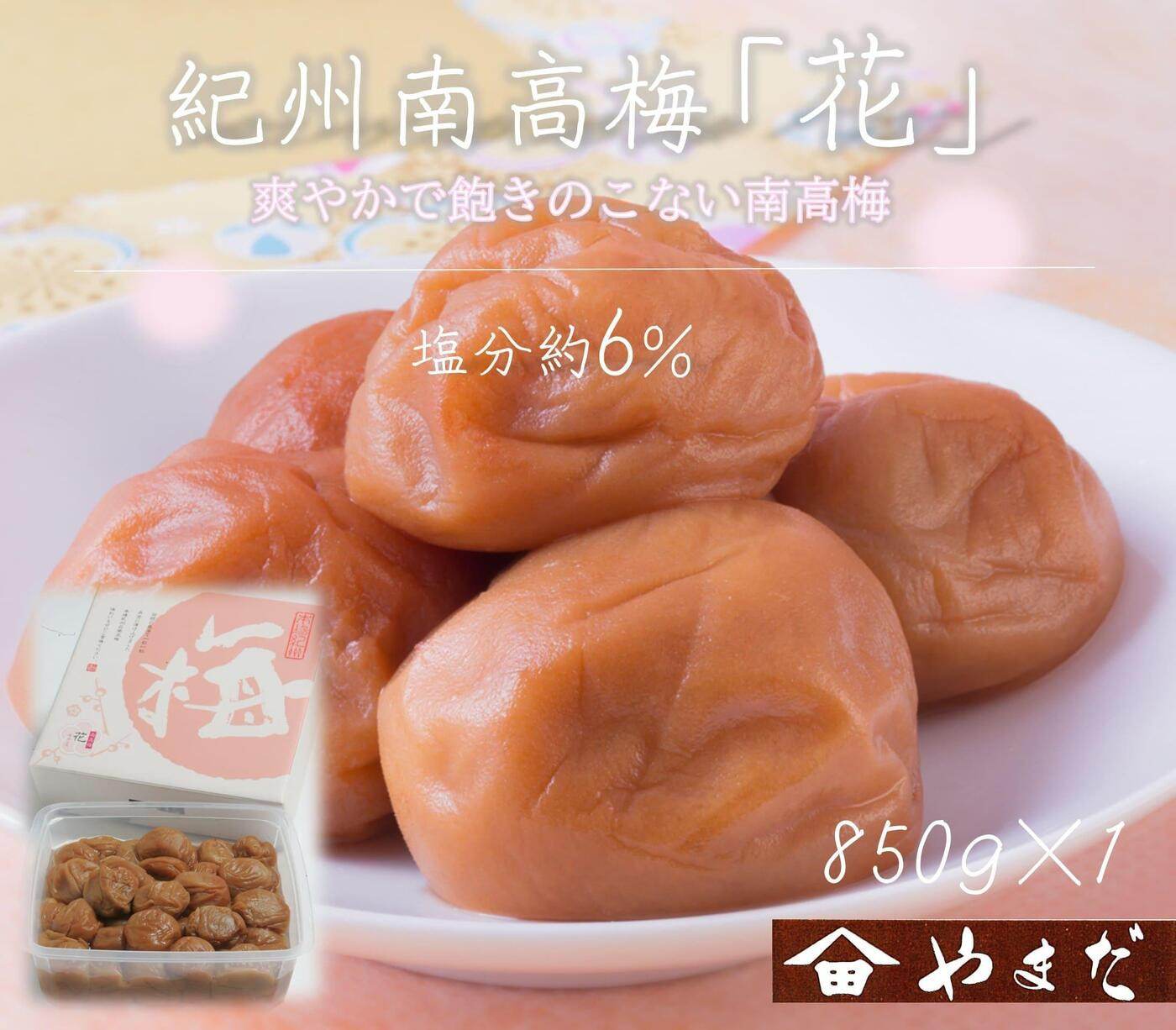 【定期便・2ヵ月毎 全5回】紀州南高梅 「花」 850g ［YM8］