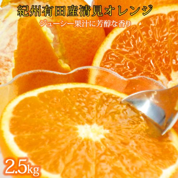 とにかくジューシー清見オレンジ 約2.5kg［2027年3月下旬以降発送］［先行予約］［UT131］