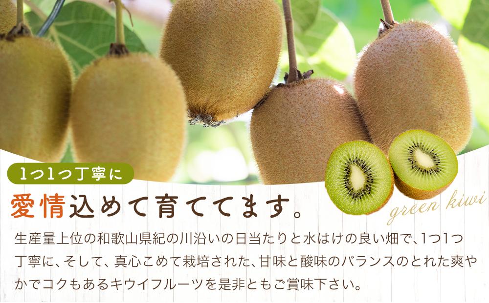 和歌山九度山町産 キウイフルーツ 約3.6kg (玉数おまかせ 24玉～36玉のいずれか 秀品)★ 2027年1月中旬頃より順次発送
