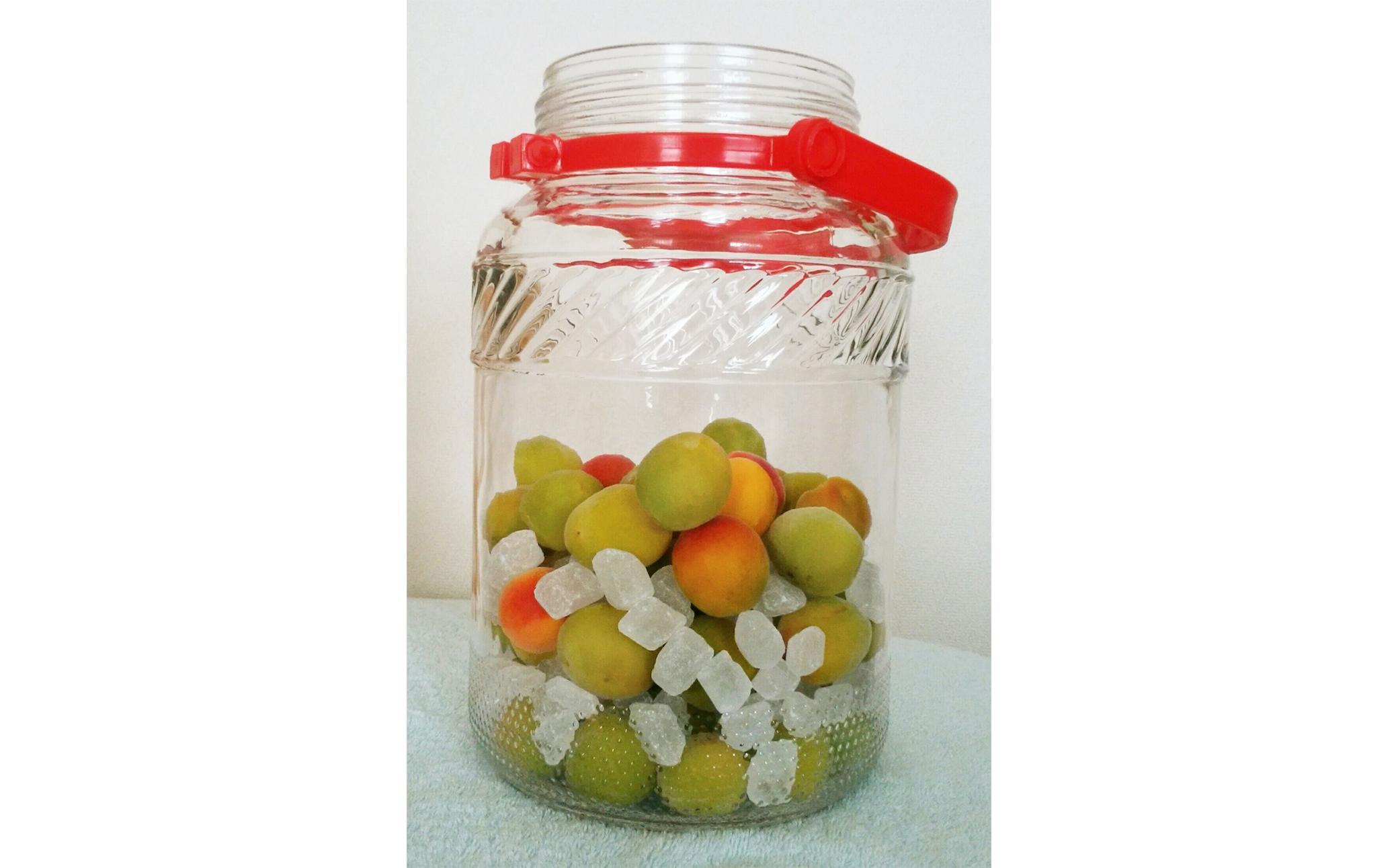 ［梅干・梅酒用］大玉4Lサイズ約10kg熟南高 生梅 赤秀品＜2026年6月上旬～7月7日発送予定＞［ART02］