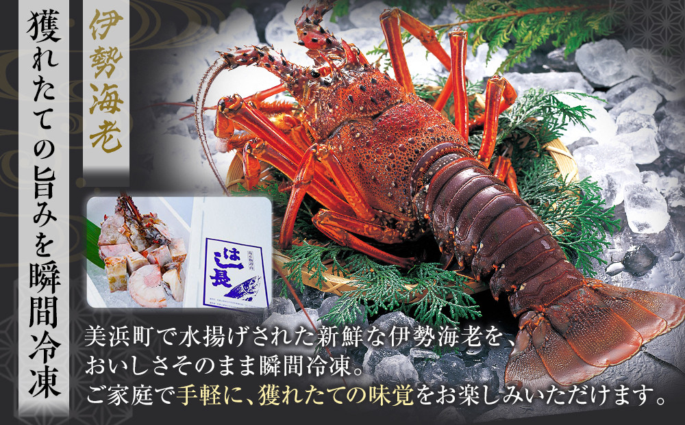 冷凍伊勢海老カット約2kg（サイズ不揃い）［HC16］