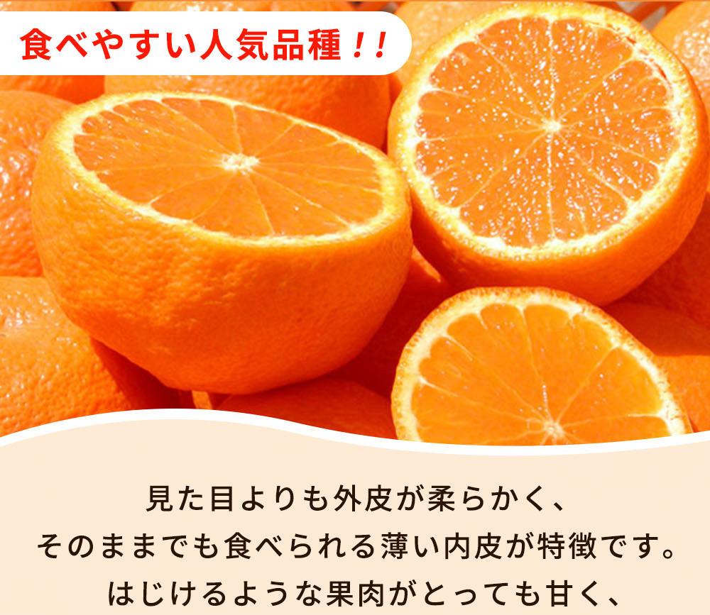 邏蟾樊怏逕ー逕」荳咲衍轣ォ(縺励i縺ャ縺イ) 邏シ.シ斌gシサ2027蟷エ2譛井クュ譌ャ莉・髯咲匱騾シスシサ蜈郁。御コ育エシスシサUT61シス