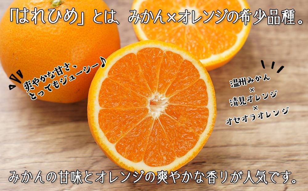 縺ッ繧後イ繧シ医Α繧ォ繝ウ縺ョ蟶悟ー醍ィョシ 遘蜩 邏5ス具スシ25蛟具ス30蛟句・シ会シサ蜈郁。御コ育エシスシサ2026蟷エ12譛井クュ譌ャ鬆縺九i逋コ騾シスシサKG3シス