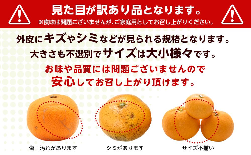 和歌山県産 糖度 12.5度以上 訳あり みかん 5kg 3S ～ Lサイズ混合［MG57］