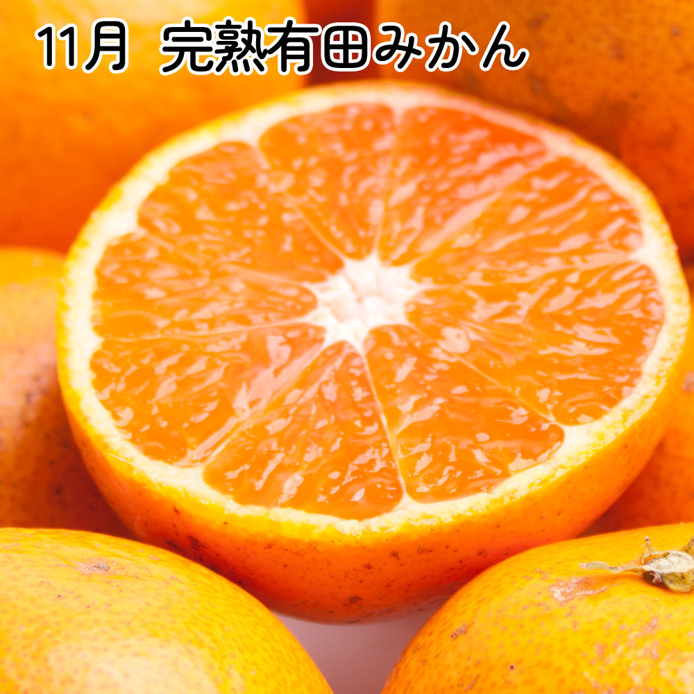 å®¶åºçš ææ©å®æäŸ¿SSïŒ10ïœ12æïŒå
š3åãã¿ããå®æäŸ¿ã詊ãçã IKE299