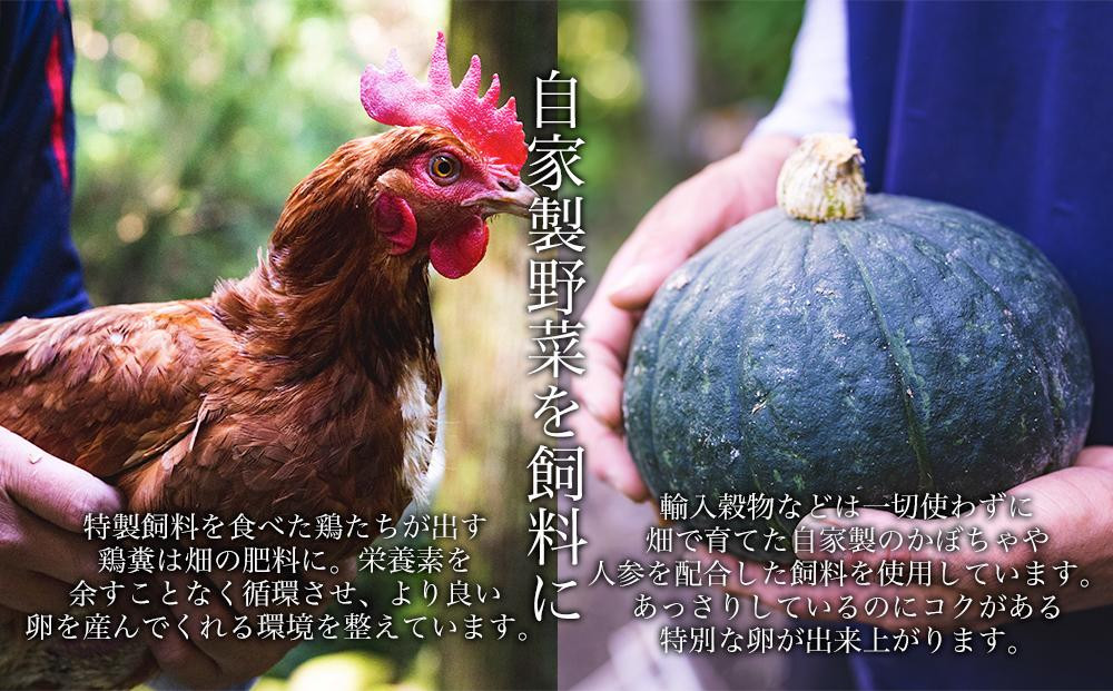【定期便6か月】国産飼料にこだわった鶏が産む安全安心の 『レモン色たまご』30個（25個＋割れ保証5個） ［Hn8］