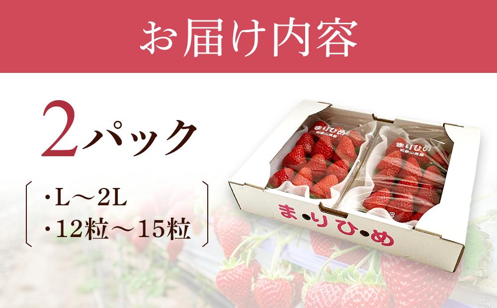 まりひめイチゴ L～2L 12粒～15粒×2パック［2027年1月中旬から発送］［先行販売］［KG7］