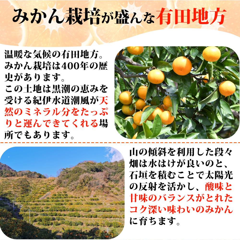 縺ィ縺ォ縺九¥繧ク繝・繝シ繧キ繝シ貂隕九が繝ャ繝ウ繧ク縲5kgシサ2027蟷エ3譛井ク区流莉・髯咲匱騾シスシサ蜈郁。御コ育エシスシサUT53シス