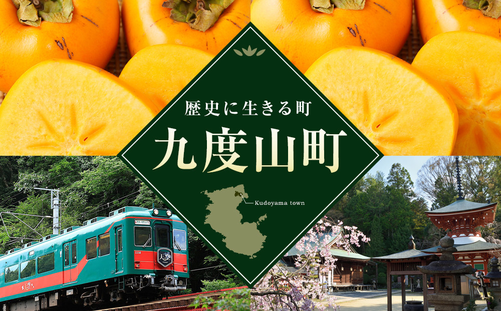 襍、驟「繝サ蜿、譚・荳雁ッソ縺励ョ驟「 2譛ャ蜈・繧サ繝繝茨シサSJ6シス