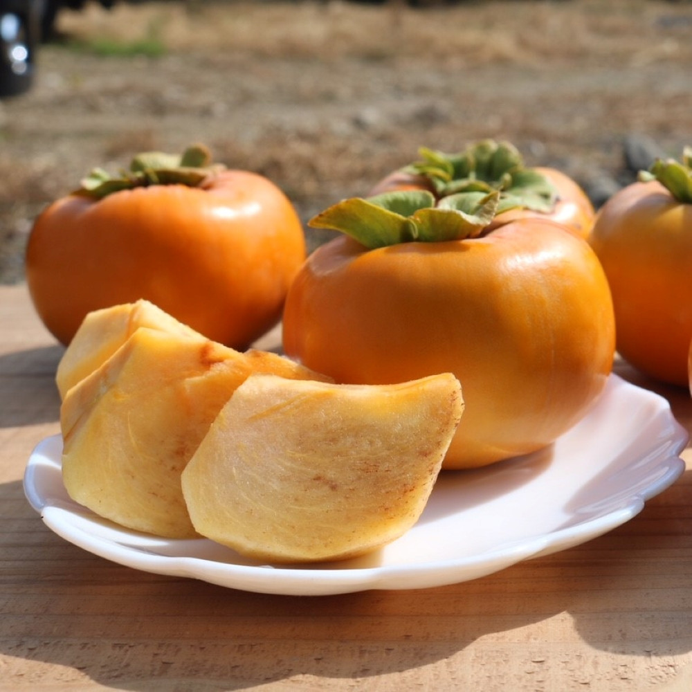 ［産地直送］和歌山県産 柿 約5kg 秀品［US68］