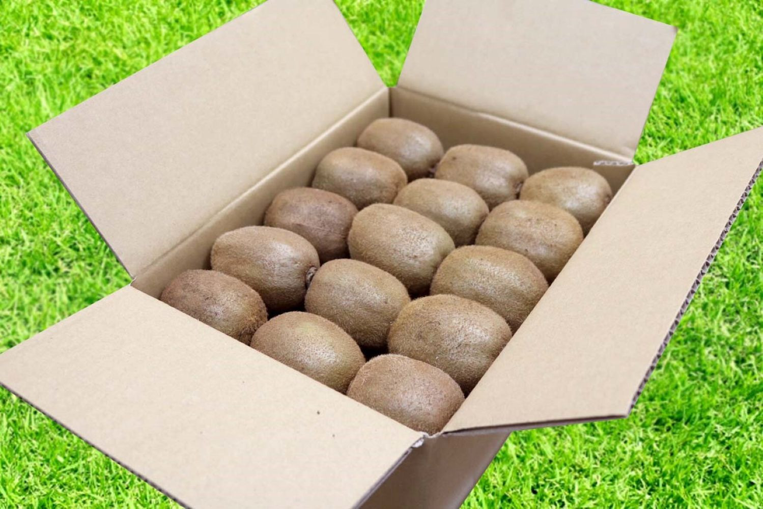 ［先行受付］［まごころ手選別］和歌山産 キウイフルーツ 約3.6kg 秀品［US70］