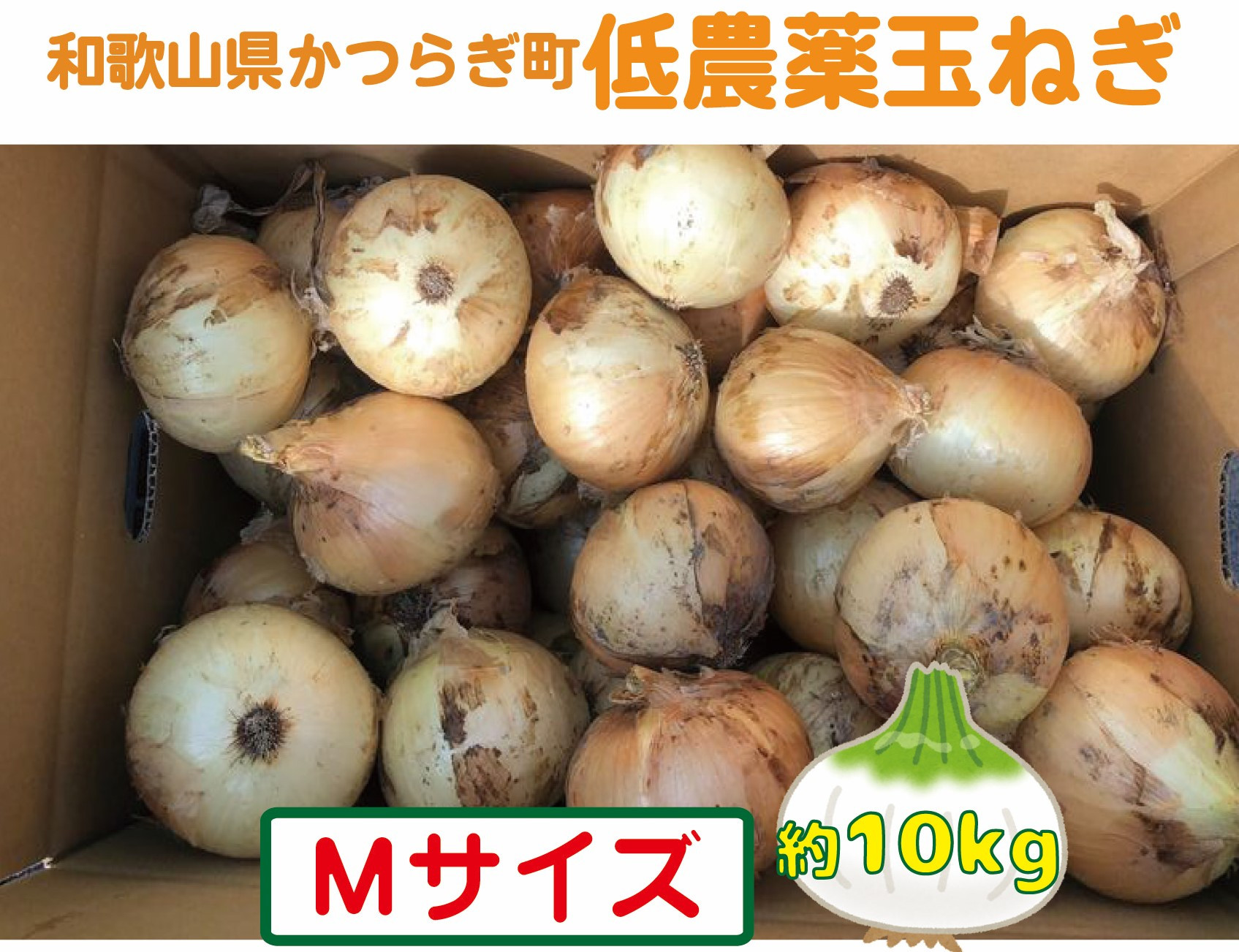 ［2026年発送分・先行予約］農家さん直送 低農薬玉ねぎ Mサイズ 10kg程度［4月中旬～7月中旬頃発送予定］［KF17］
