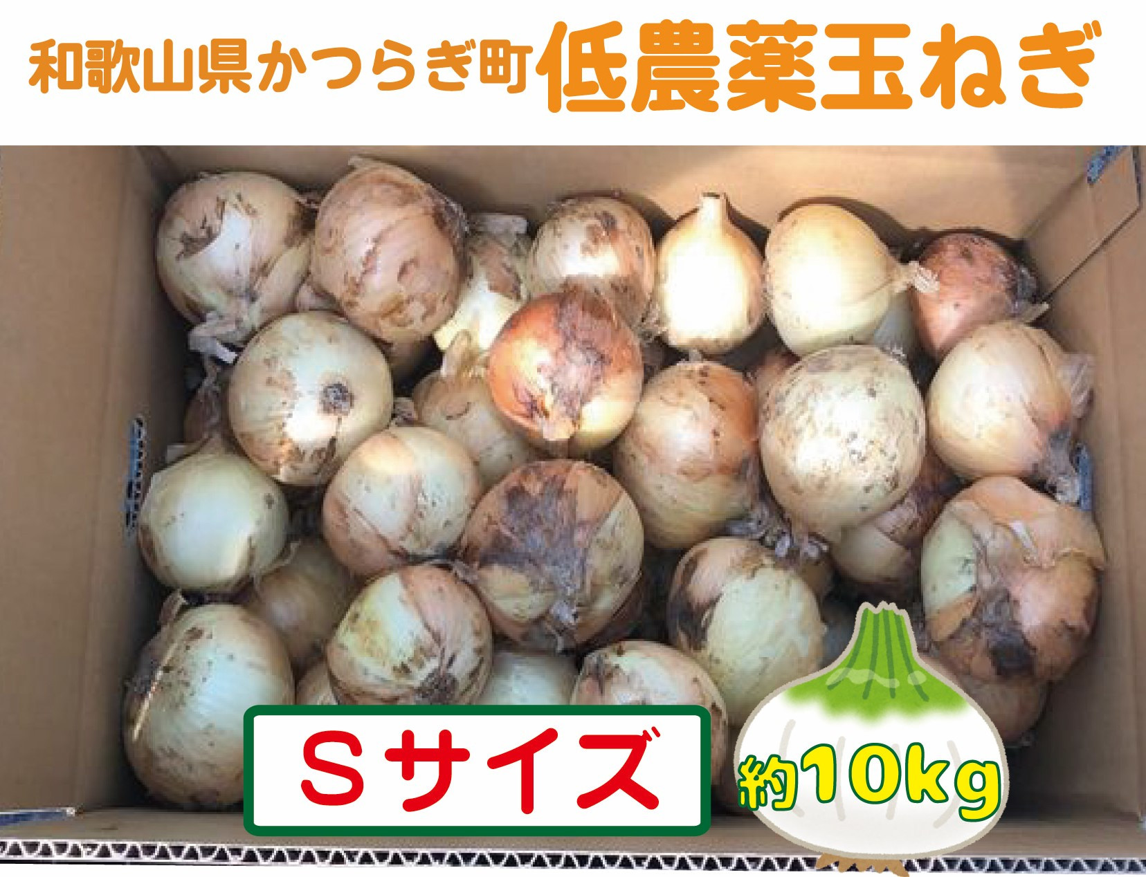 ［2026年発送分・先行予約］農家さん直送 低農薬玉ねぎ Sサイズ 10kg程度［4月中旬～7月中旬頃発送予定］［KF18］
