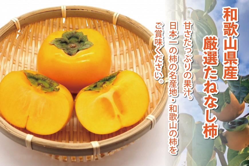 ［先行予約］厳選 たねなし柿 約2.5kg［刀根早生・平核無柿（ひらたねなしかき）］［カキ・種無柿・種無し柿・種なし柿・無核柿］［IKE95］