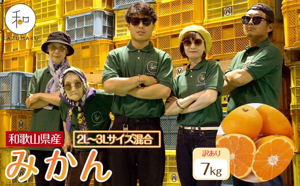 訳あり 森本農園の手選別 大玉みかん 約7kg 和歌山県産 2L・3Lサイズ混合 ［北海道・沖縄・離島配送不可］［2025年11月上旬から順次発送］［RN83］