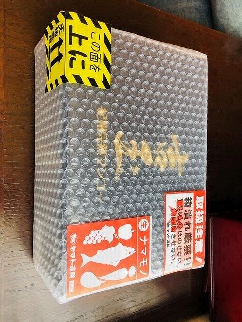 ◆先行予約◆和歌山県産　紀州完熟マンゴー『吉玉』約1kg程度／2〜3玉入り［2026年7月下旬から8月下旬頃順次発送予定］［MG20］