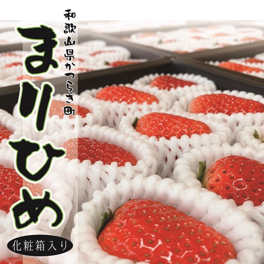 超特選☆いちご【まりひめ】2026年1月中旬から3月下旬まで発送【KF8】