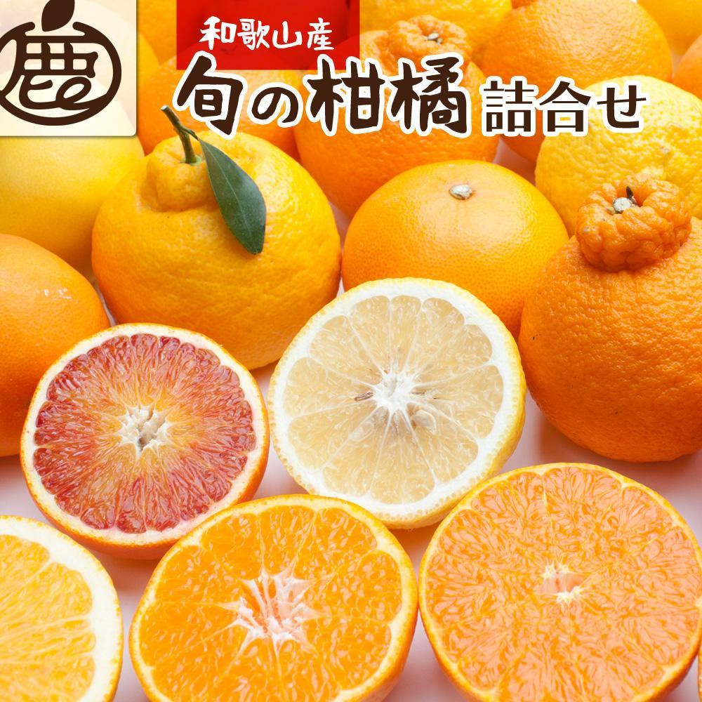 ［先行予約］厳選 柑橘詰合せ1kg+250g（傷み補償分）［有田の春みかん詰め合わせ・フルーツ詰め合せ・オレンジつめあわせ］［光センサー選別］［IKE157］