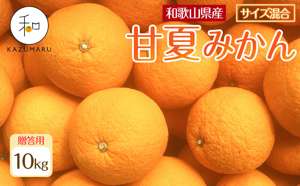 贈答用 森本農園の手選別 甘夏 みかん 約10kg 和歌山県産 サイズ混合 ［北海道・沖縄・離島配送不可］［2026年4月上旬から順次発送］［RN79］