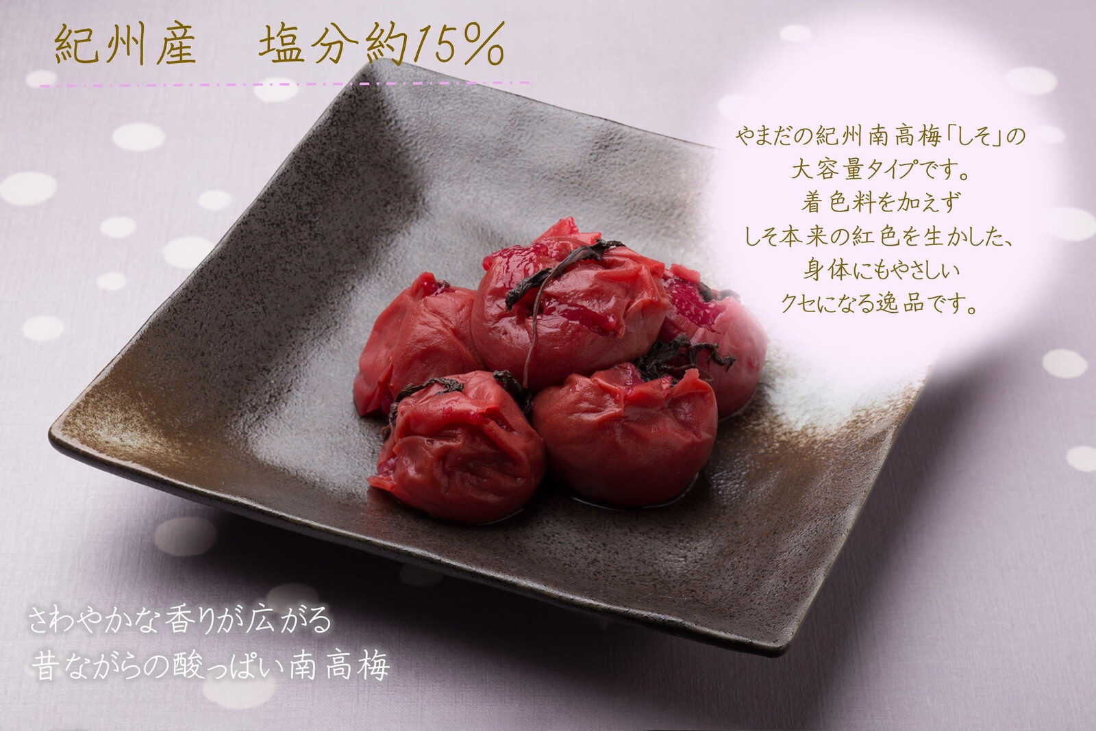 【定期便・3ヵ月毎 全3回】ご家庭用 紀州南高梅 しそ漬 つぶれ 700g×2 ［YM16］