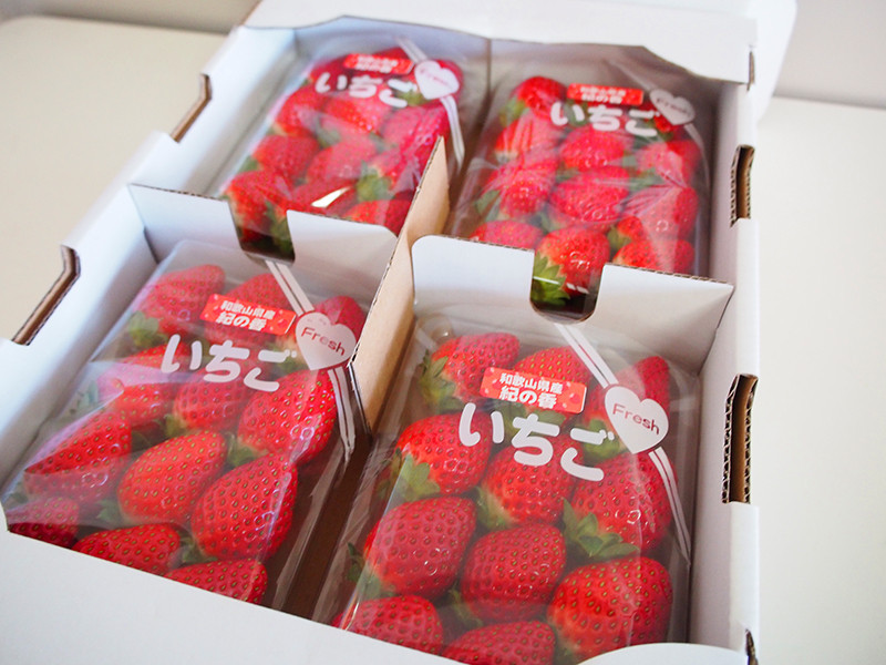 紀州和歌山ブランドいちご「紀の香」約250g×4P ［UT143］