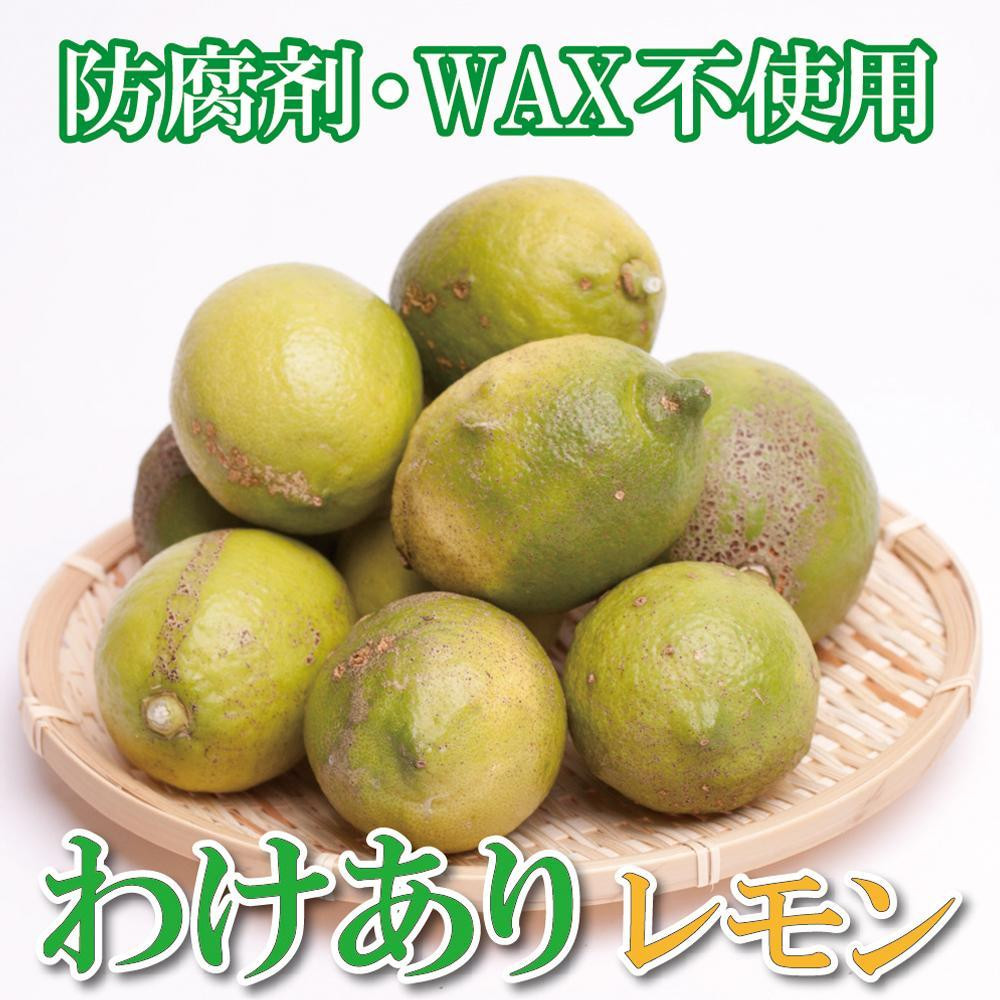 家庭用 レモン2.5kg+250g（傷み補償分）【和歌山有田産】【防腐剤・WAX不使用、安心の国産レモン】【わけあり・訳ありレモン】 ［IKE124］