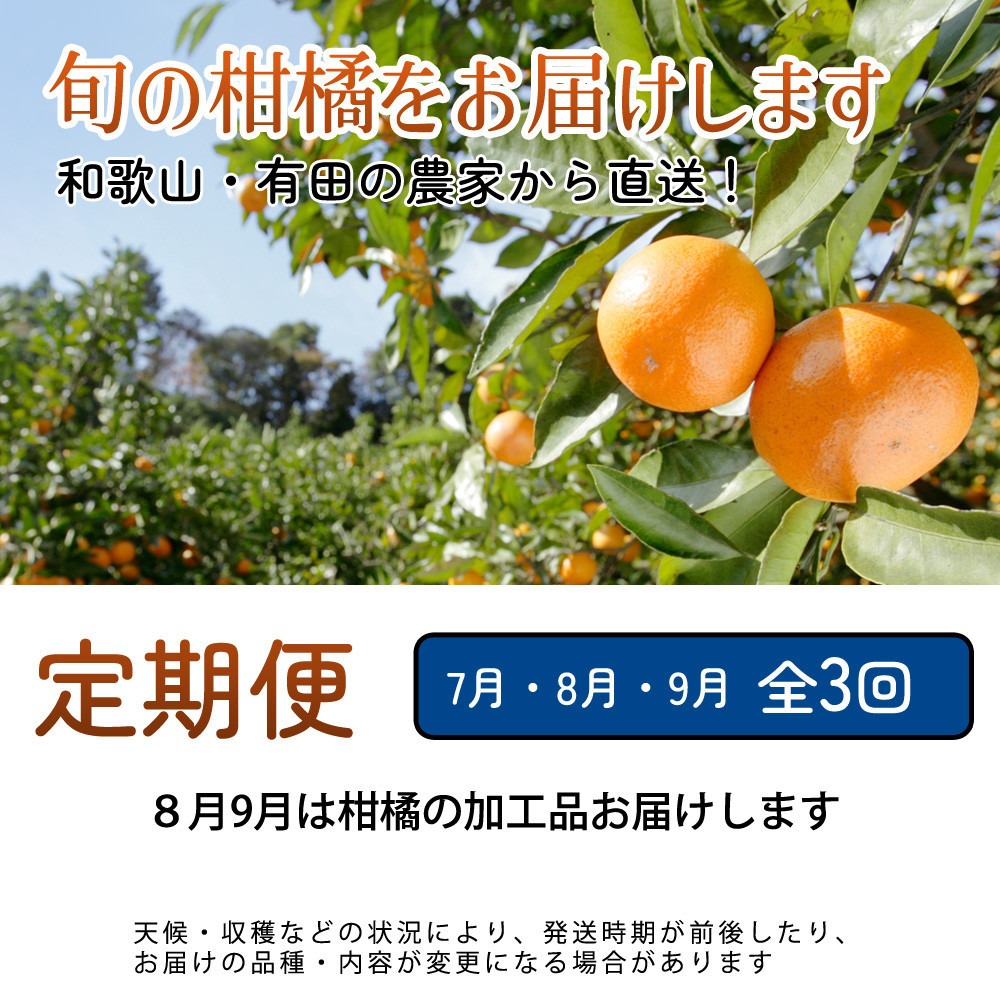 厳選 柑橘定期便S（7〜9月）全3回 ［IKE290］