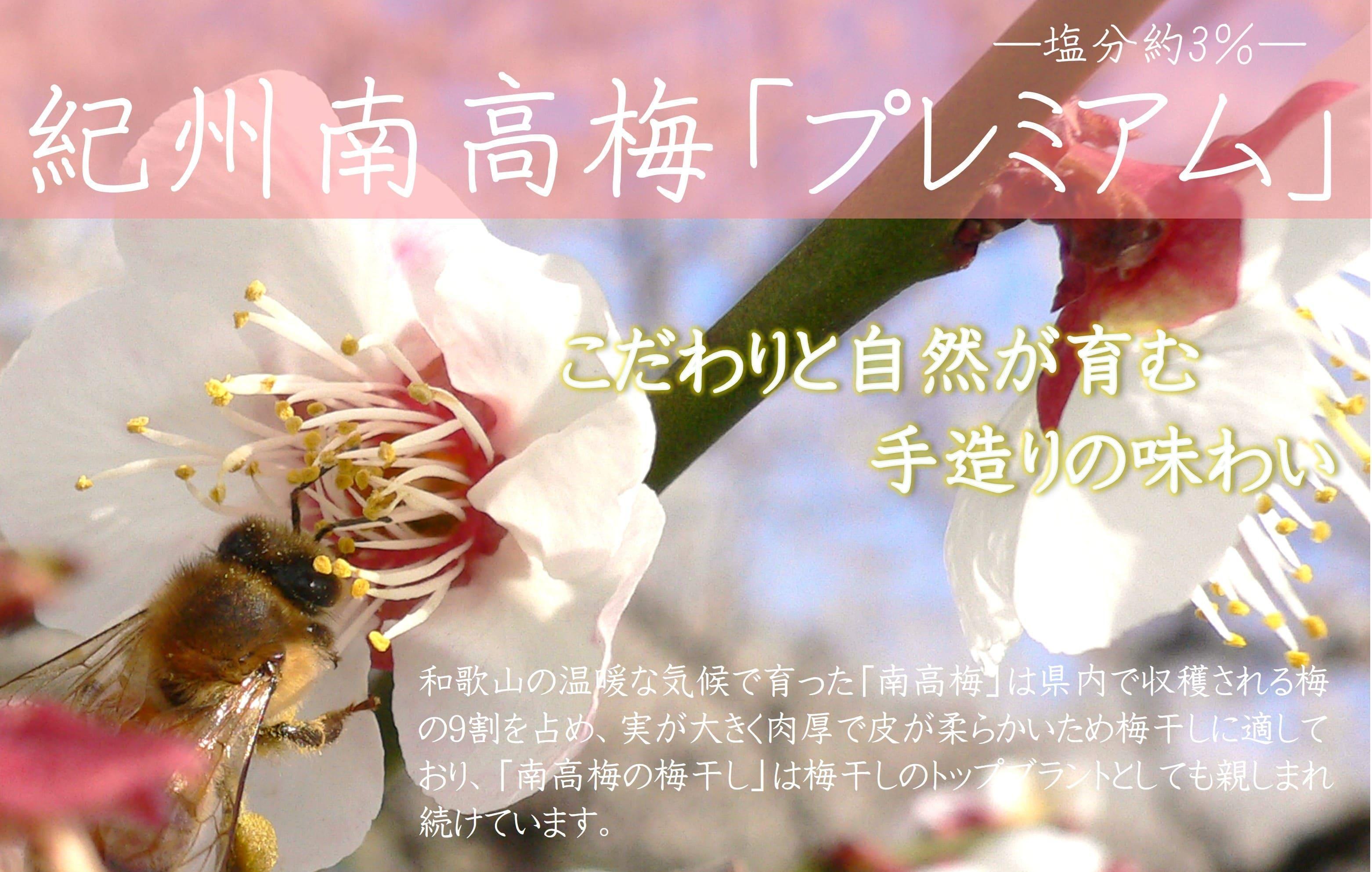 邏蟾槫漉鬮俶「 繝励Ξ繝溘い繝 蝪ゥ蛻邏3シ 500g シサYM11シス