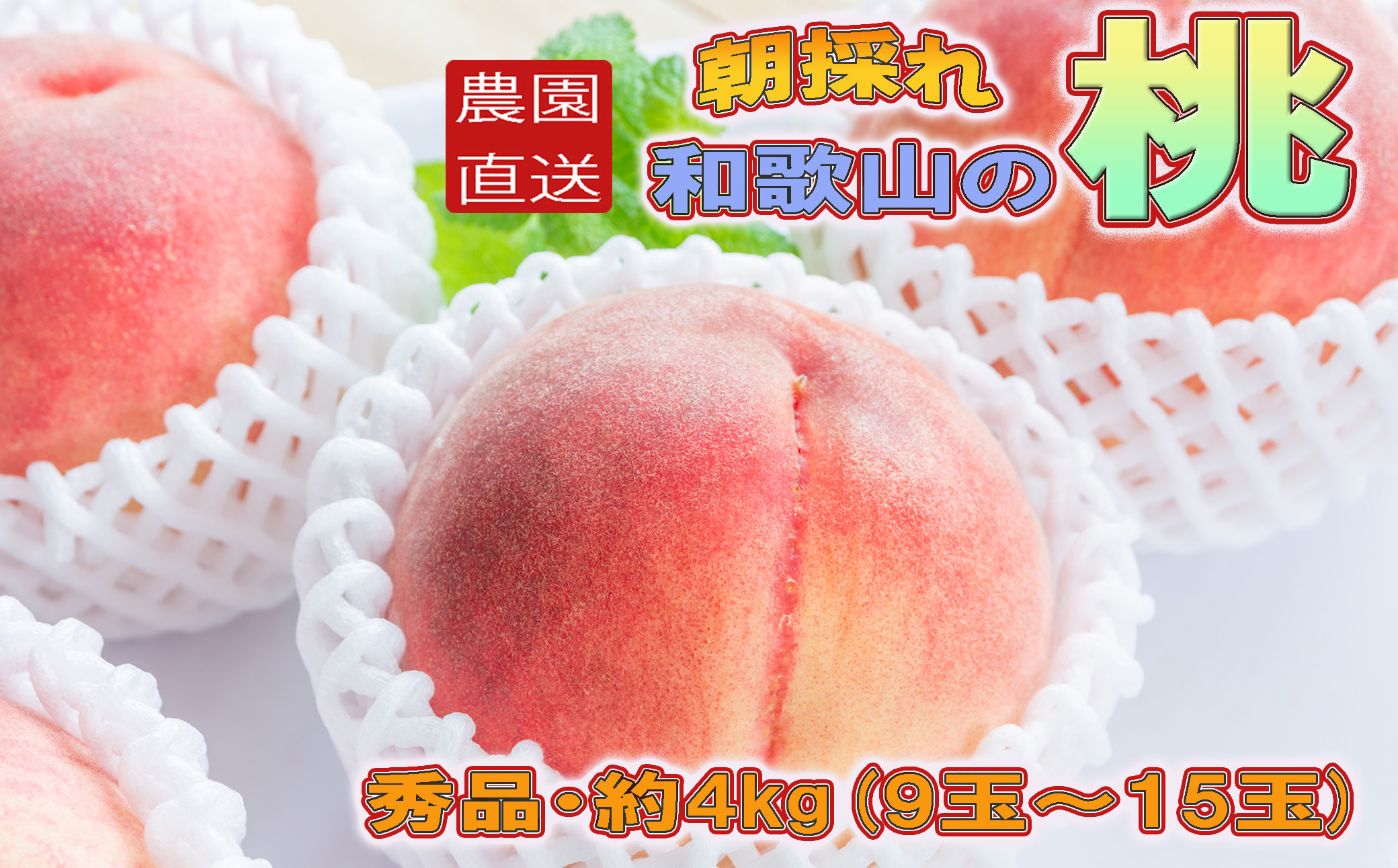 ［農園直送］朝採れ和歌山の桃　約4kg・秀品★2026年6月下旬～8月中旬頃順次発送★［TM168］