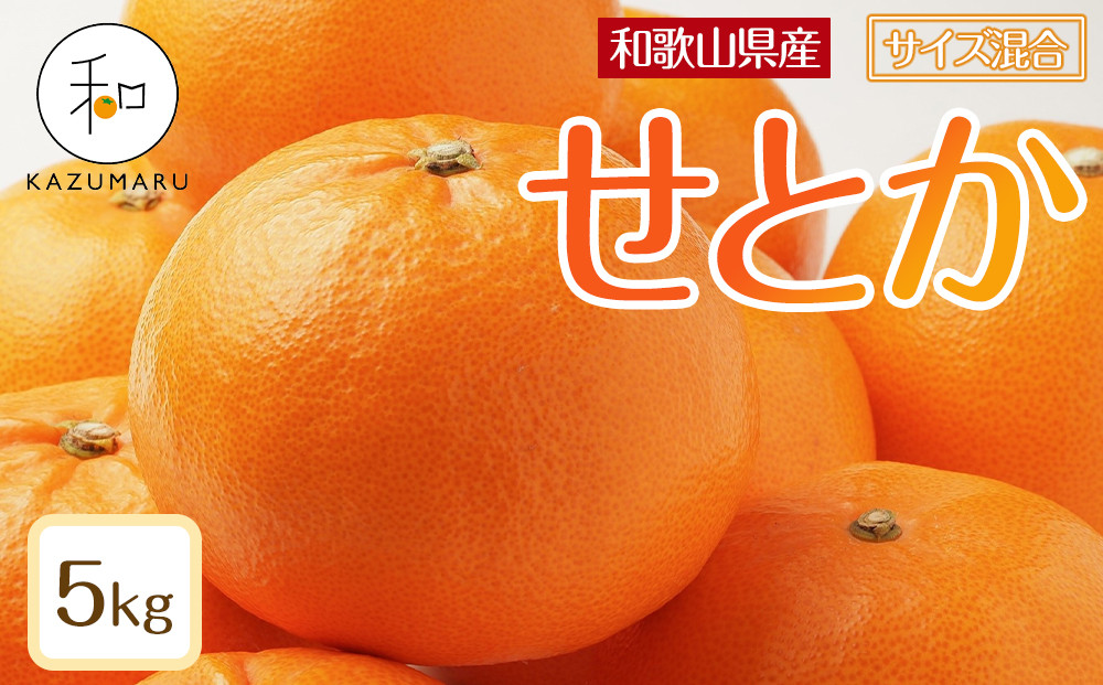 森本農園の手選別 せとか 約5kg 和歌山県産 サイズ混合 ［北海道・沖縄・離島配送不可］［2026年2月上旬から順次発送予定］［RN131］