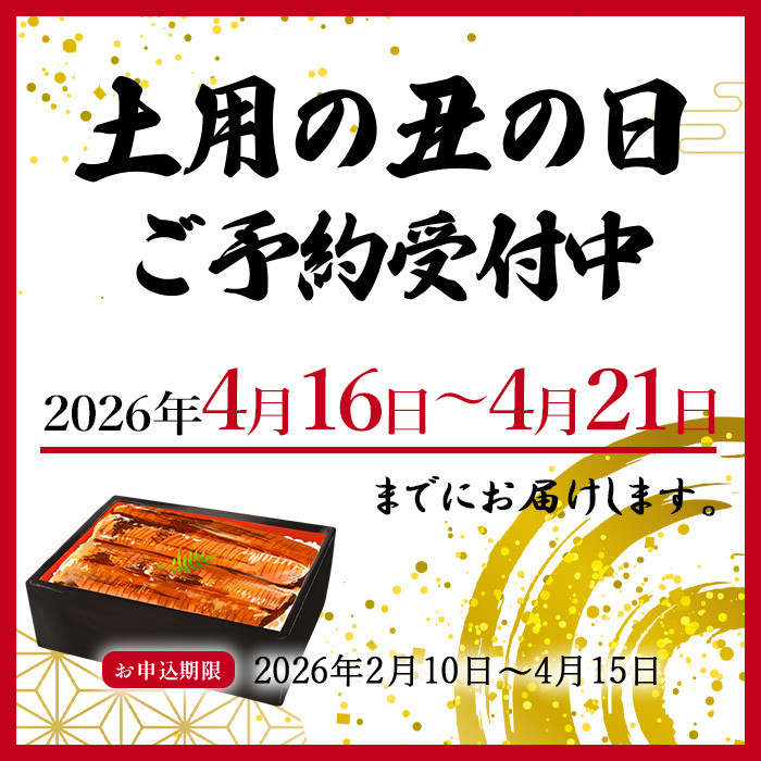 大型サイズ　ふっくら柔らか　国産うなぎ蒲焼き　１尾（約2人前）化粧箱入［春土用の丑の日のうなぎ］［～4月21日までにお届け］［UT04］