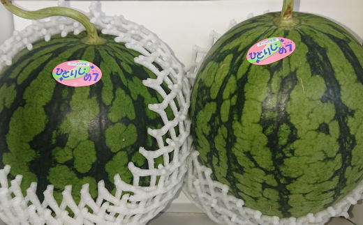 ãç£å°çŽéãåæå±±ç£å°çããããã²ãšããã7(ã»ãã³)ã2çå
¥ãã3.5kg以äžâ
2026å¹ŽïŒæäžæ¬é ããé æ¬¡çºéãTM171ã