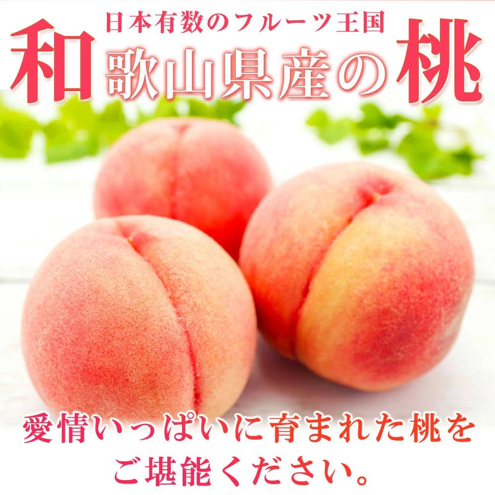 秀品 紀州和歌山産の桃 約4kg　化粧箱入［2026年6月下旬より順次発送］［UT106］