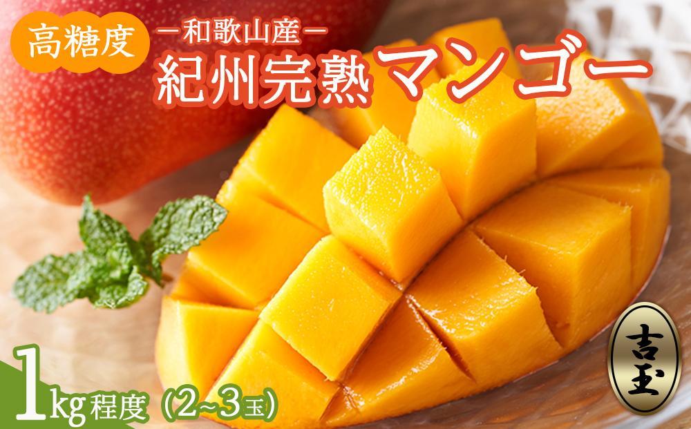 ◆先行予約◆和歌山県産　紀州完熟マンゴー『吉玉』約1kg程度／2〜3玉入り［2026年7月下旬から8月下旬頃順次発送予定］［MG20］
