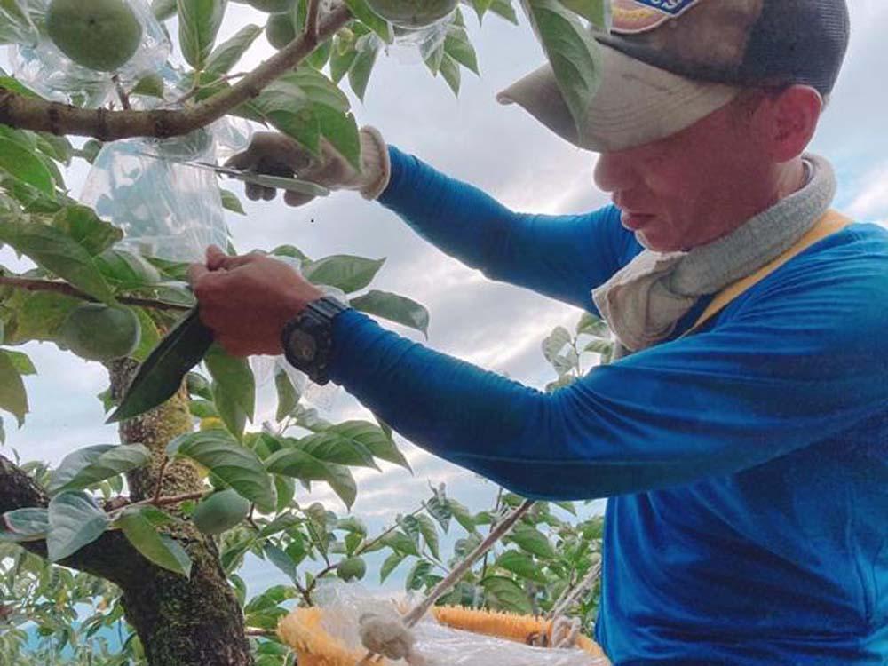 é»ããŠçã çŽã®å·æ¿ 2kg â
åæå±±çãªãªãžãã«â
KF03