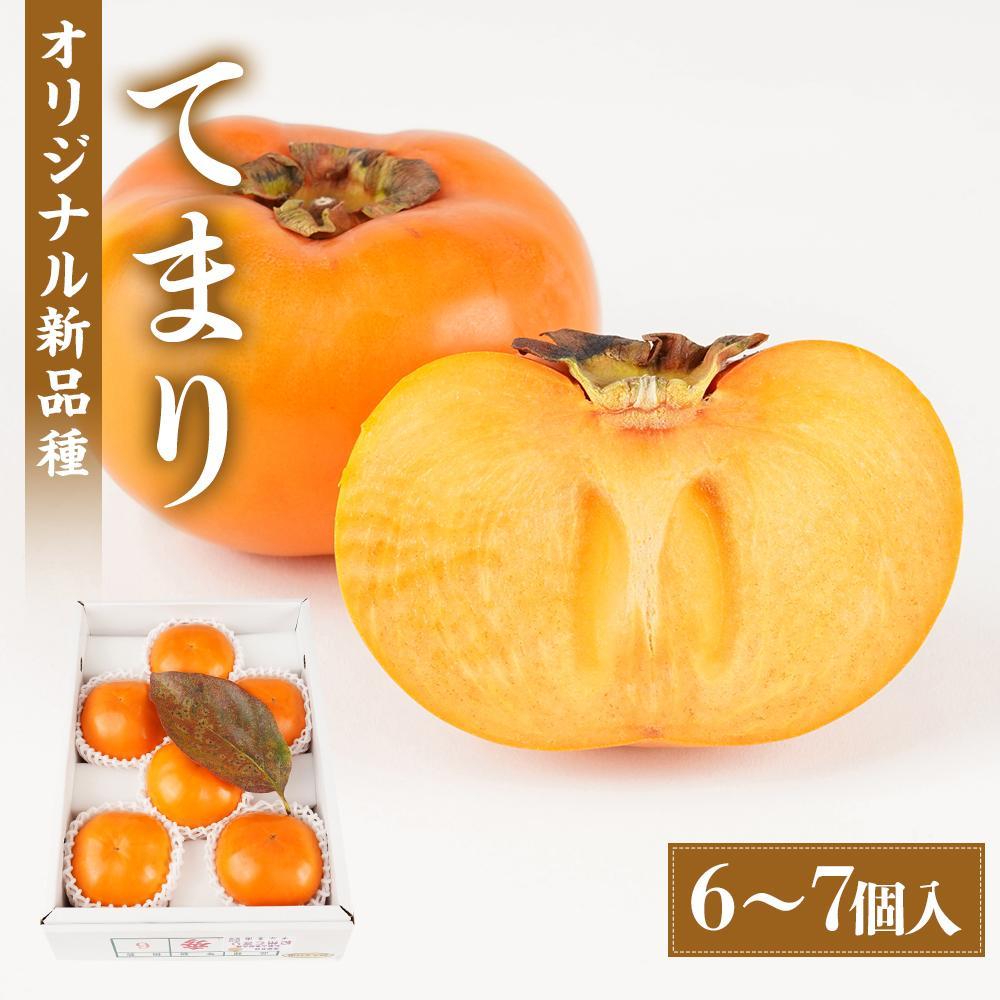 紀州てまり（和歌山県ブランド柿）6〜7個入 こだわり農家厳選 先行予約 ［2026年9月末から10月末頃順次発送］［KG27］