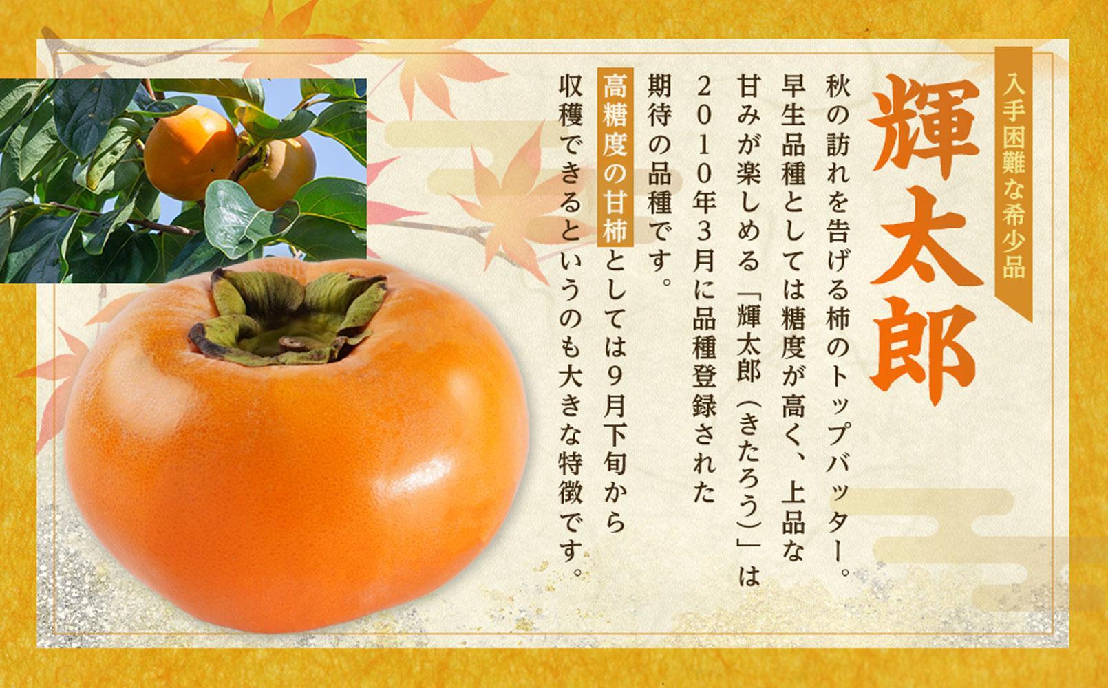 åžå°ãªæ¿ïŒ»èŒå€ªé倧ç6åã7å ã³ã¯ã®ããçãïŒãã ãã蟲家å³éžïŒ»2026幎9ææ«ãã10ææ«é é æ¬¡çºéKG24